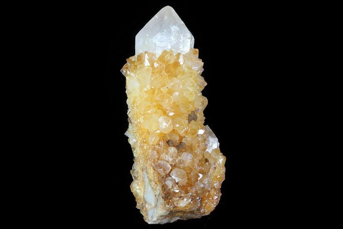 Sunshine Cactus Quartz Crystal - South Africa #80190